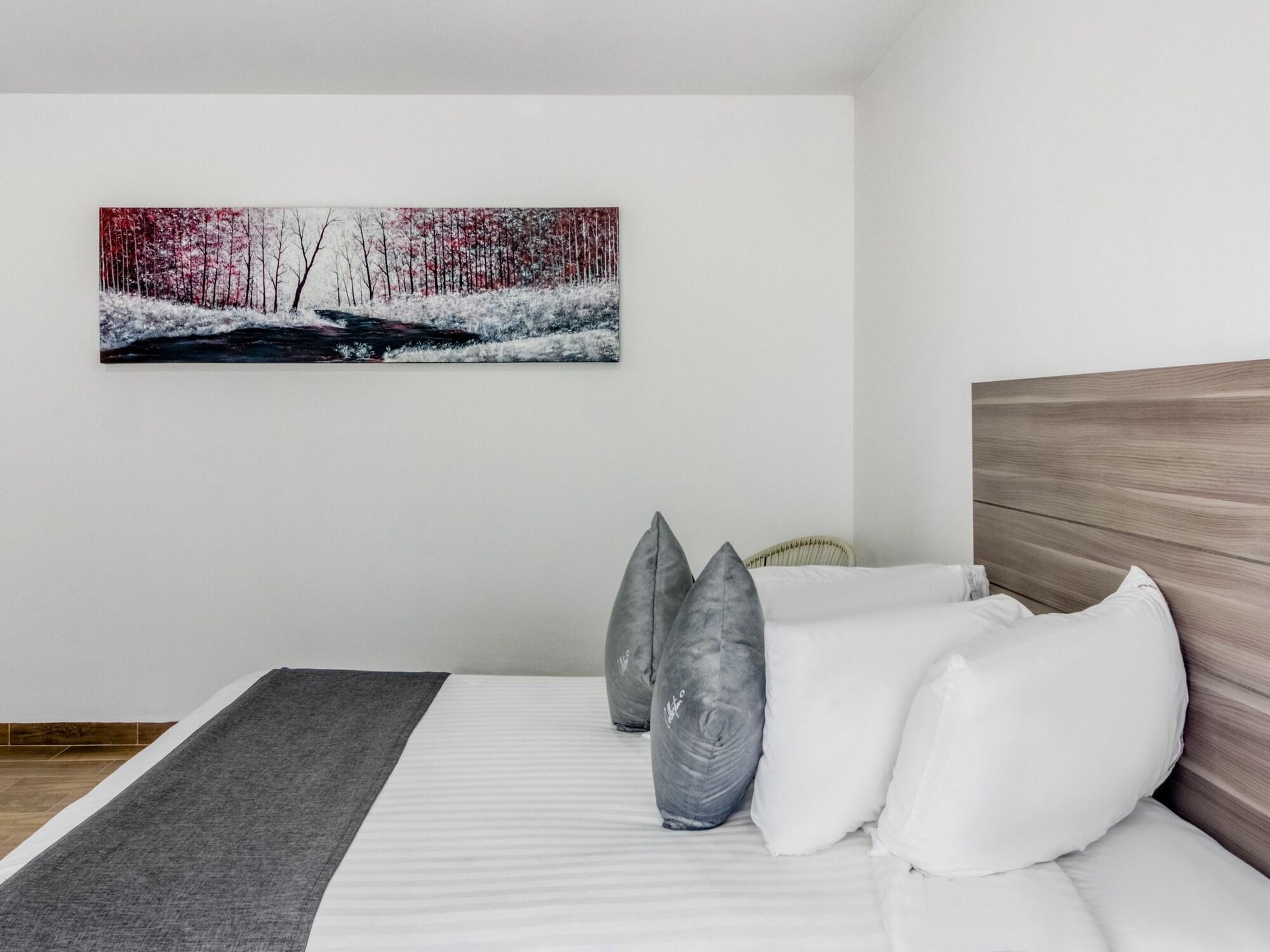 Vn Hotel Monterrey Eksteriør billede